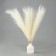Pampas artificial grass, height 43 cm, 5 brushes, milk color