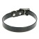 Biotan collar, 44-56.5 x 2.5 cm, black