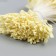 Flower stamens "light yellow" set 360 pcs length 6 cm