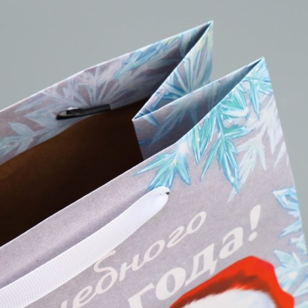Craft vertical “Mishutka” package, ml 23 x 27 x 11.5 cm, New Year-5