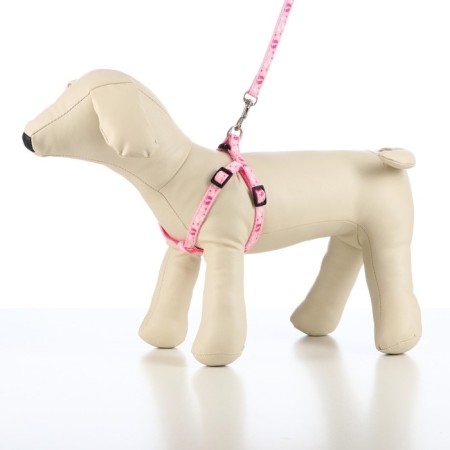 Set "Color Transes", leash 120 x 1 cm, fire 23-35 cm, pink-1