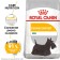 Dry food RC mini dermacomfort for dogs with sensitive skin, 3 kg