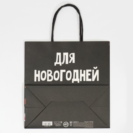 Gift package "New Year's bustle", 22 x 22 x 11 cm, New Year-6