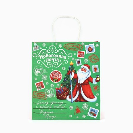 Gift New Year's craft “Magic New Year”, 22 x 12 x 25 cm, New Year-2