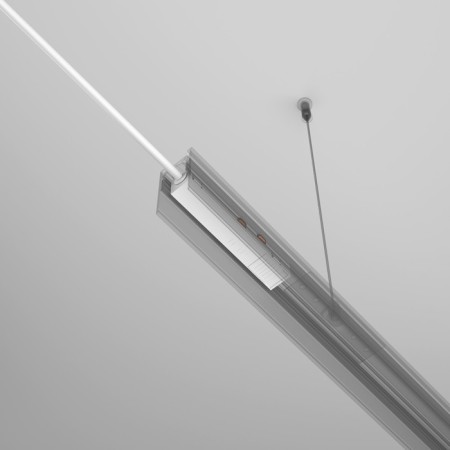 Entering EXILITY, White-2