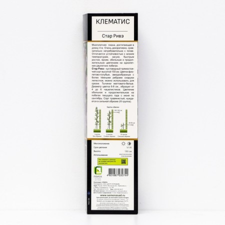 Clematis botanical suite (for cutting) "Star Rive", 1 pc, tube, spring 2024-1