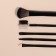 A set of makeup brushes, 5 items, PVC chech, black color