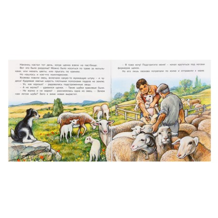 We know the world around us “The Adventures of the Puppy”, 16 p.-2