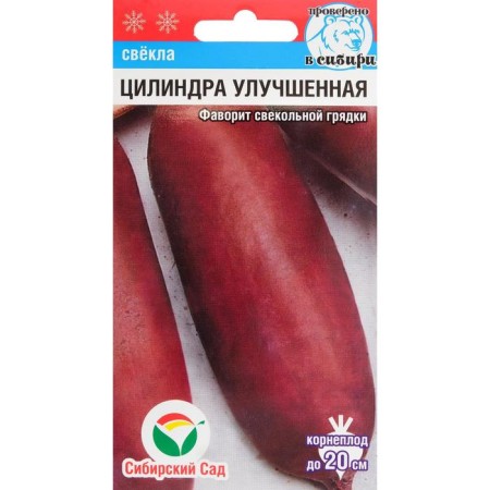 Cylinder beets "Improved", 2 g-3