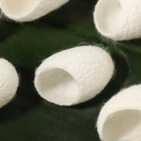 A set of sponges for peeling from mulberry silkworm, 20 pcs, white color-5