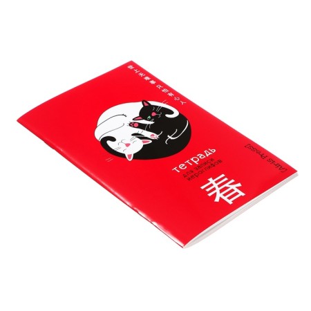 Notebook for recording hieroglyphs A6, 32 sheets "Yin and Yang"-1