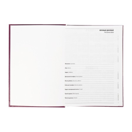 Dated diary of 2025, A5, 168 sheets, boumville, burgundy-4