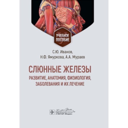 Salivary glands: development, anatomy, physiology, disease and their treatment. Tutorial. Ivanov S.