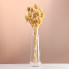Set of dried flowers 