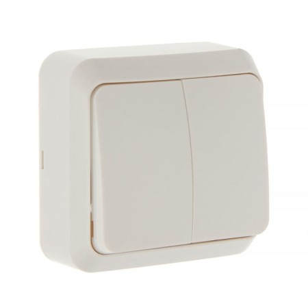 Smartbuy switch "Jupiter", 10 a, 2 keys, external, white