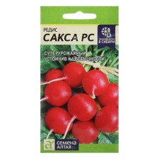 Seeds Radis 