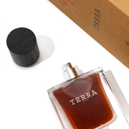 Perfumery water men Terra (based on Terroni Orto Parisi), 50 ml-1
