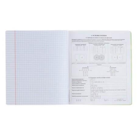 Subject notebook, 48 sheets, cage, computer science, erichkrause "manga", cardboard cover of twin-lak, unit offset white 100%, information block-5