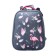 School backpack 38 x 30 x 16 cm, ergonomic back, stavia "flamingo" multicolor/gray