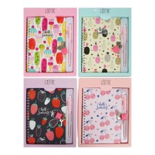 Notebook with a pen and a lock A5, a gift box, 45 sheets, in a ruler, on a crest, mix