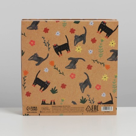 Gift folding box, packaging, “cats”, 26 x 26 x 8 cm-4
