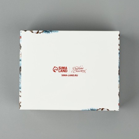 Folding box with a plastic lid “Happy New Year!”, 11.5 x 9 x 4 cm, New Year-3