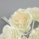 Decor for creativity "Camellia" milk (1 set = 1 bouquet) in the bouquet 6 pcs 4x11 cm