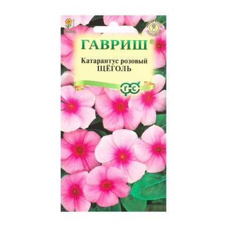Семена комнатных цветов Барвинок "Щеголь", 0,05 г-4