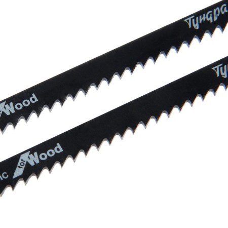 Files for tundra jigsaws, on wood, straight coarse cut, HCS, 100/125 x 3 mm, 2 pcs.-2