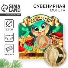 New Year's Coin 
