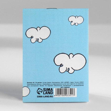 Mix of Notepad A7 16 sheets “Cat. February 23"-8