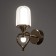 Bra "Lamur" LED 10W 3000-6000k gold 13x19x30 cm