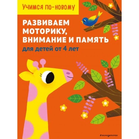 We develop motor skills, attention and memory: for children from 4 years old