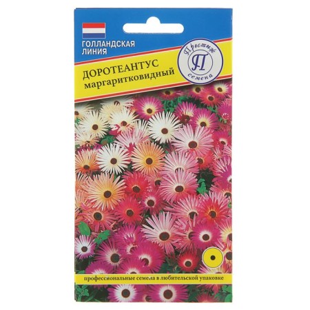 Flower seeds Dorotheantus Margaritic mixture, o, 0.1 g