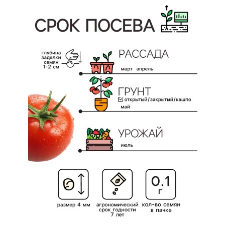 Семена Томат "Челнок", 0,1 г-1
