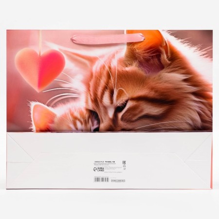 Laminated horizontal "cats", 40 x 31 x 11.5 cm-1
