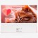 Laminated horizontal "cats", 40 x 31 x 11.5 cm