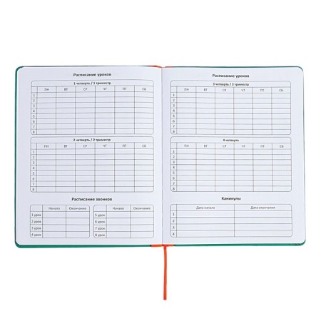 Universal diary for grades 1-11 Excellence, solid cover of artificial leather, silkography, lies, 48 ​​sheets, green-5