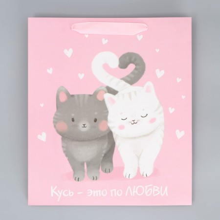 Package Gift Laminated Vertical, packaging, “Love and heat”, m 26 x 30 x 9 cm-5