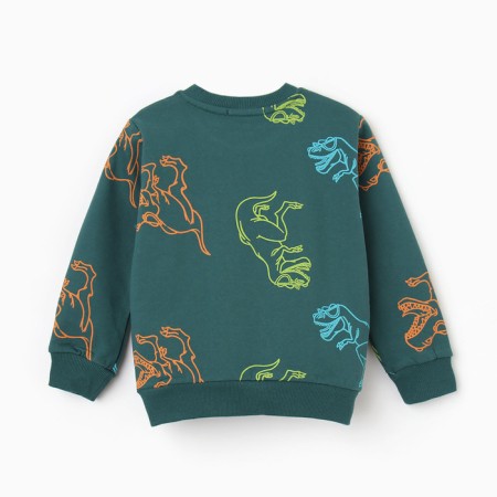 Sweatshirt for boys, emerald color/dino, height 110 cm-3