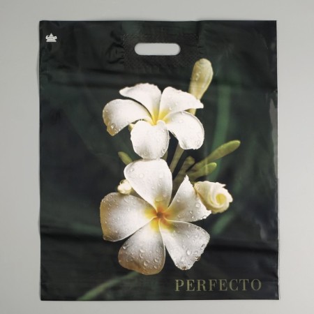 Percheto Plumeria package, polyethylene with a cut pen, 90 μm 42 x 48 cm