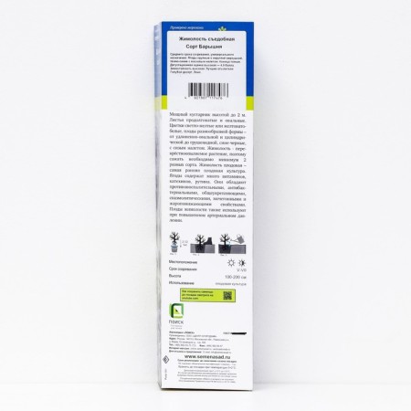 Edible honeysuckle (Northern Garden series) "Baryshnya", 1 pc, tube, spring 2024-1