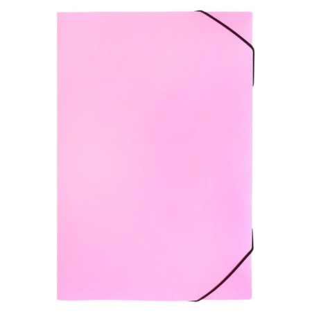 Folder Carder Calligrata watercolor 13 department. A4 plastic 0.7mm flamingos, black resident-1