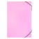 Folder Carder Calligrata watercolor 13 department. A4 plastic 0.7mm flamingos, black resident