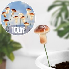 Set of plugs 