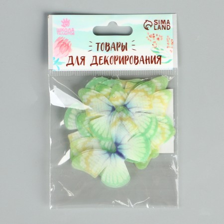 Decor for creativity "Butterfly", two -layer, set of 12 pcs., Size 1 pc. - 5 × 4 cm, green color-5