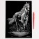 Engraving. Set of engravings "Animals", A4, 4 pcs