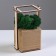 Kashpo Composition with Moss "Briovud", stabilized moss: Forest Green (Green Forest)