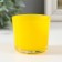 Dy Climber 5.5x6 cm, 100 ml yellow
