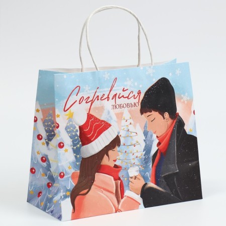 Gift Craft Package "Warm up", 25 x 22 x 12 cm, New Year-2